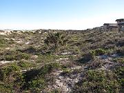 St. Augustine - Jan 2012 039